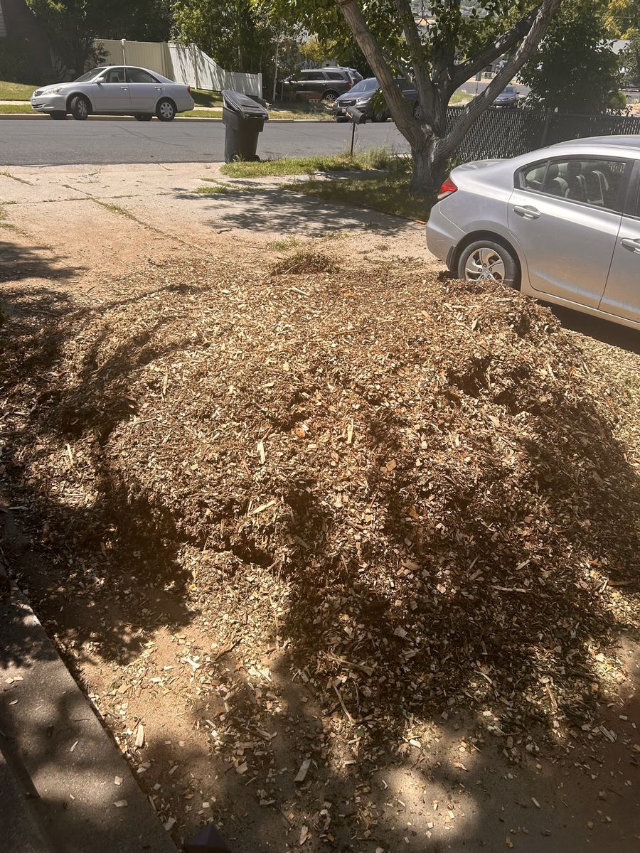 Wood chips