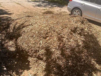Wood chips