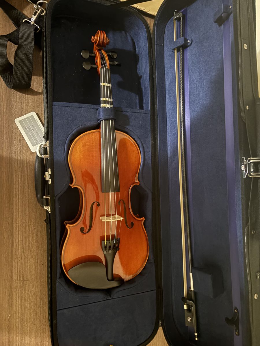 Beginner Violin - Full Size
