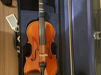 Beginner Violin - Full Size