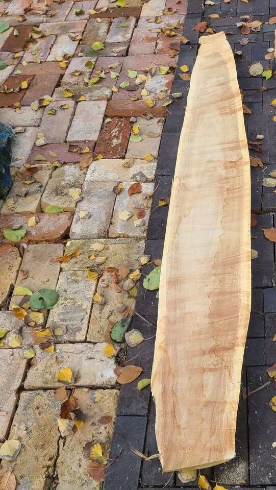 (#3) Elm Wood Slabs $5 Board Foot