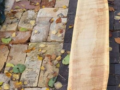 (#3) Elm Wood Slabs $5 Board Foot