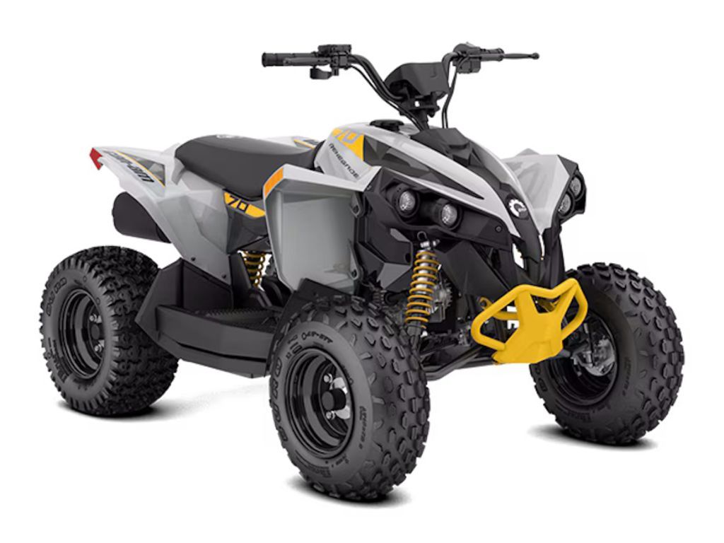 2025 Can-Am Renegade 70 EFI Catalyst Grey & Neo Ye
