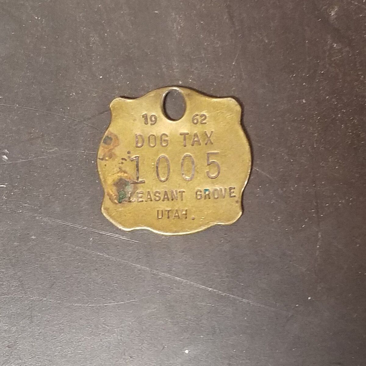 Vintage 1962 Pleasant Grove Dog Tag or License
