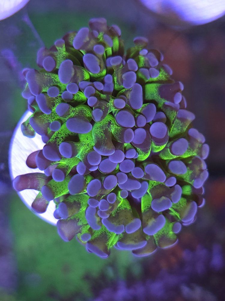 Main image 4