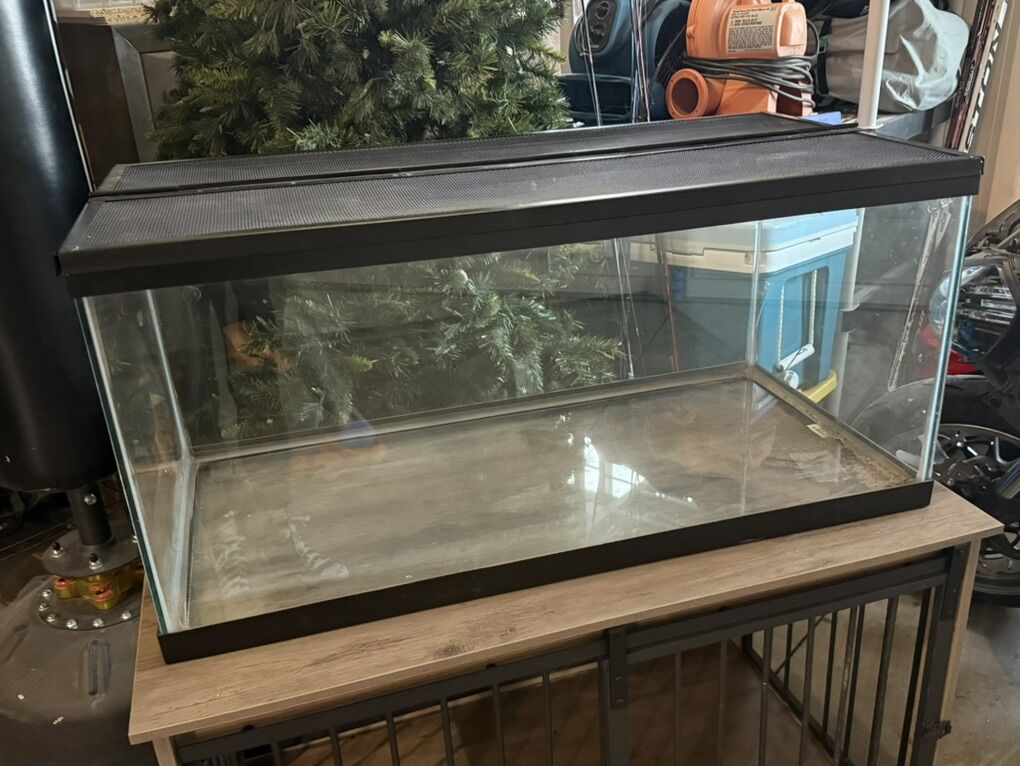 40 Gallon Breeder With Lid