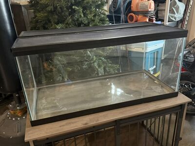 40 Gallon Breeder With Lid