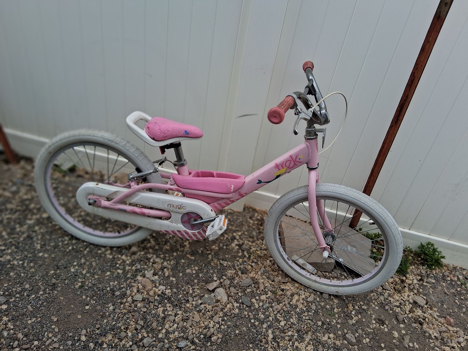 Girls trek bicycle