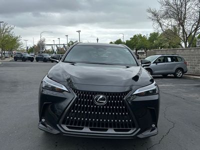 2024 Lexus NX 350 Premium