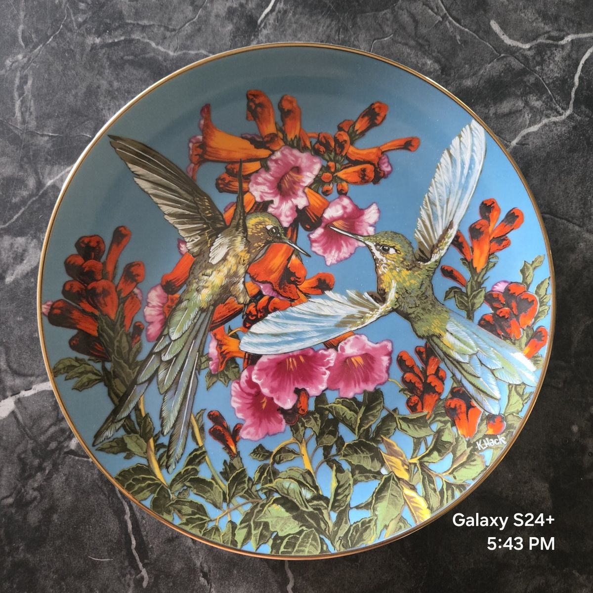 Limited Edition The Exotic Birds of Paradise Plate: Long-Tailed Sylph by Komand F. Hack