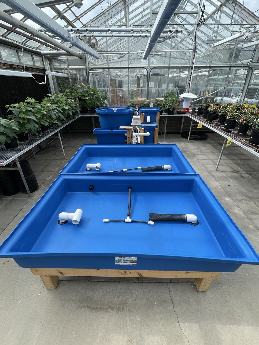 Aquaponics system - complete