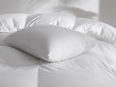 Stearns & Foster Luxurious 800 Fill Power White Goose Down Pillow, King 1873740 #103993