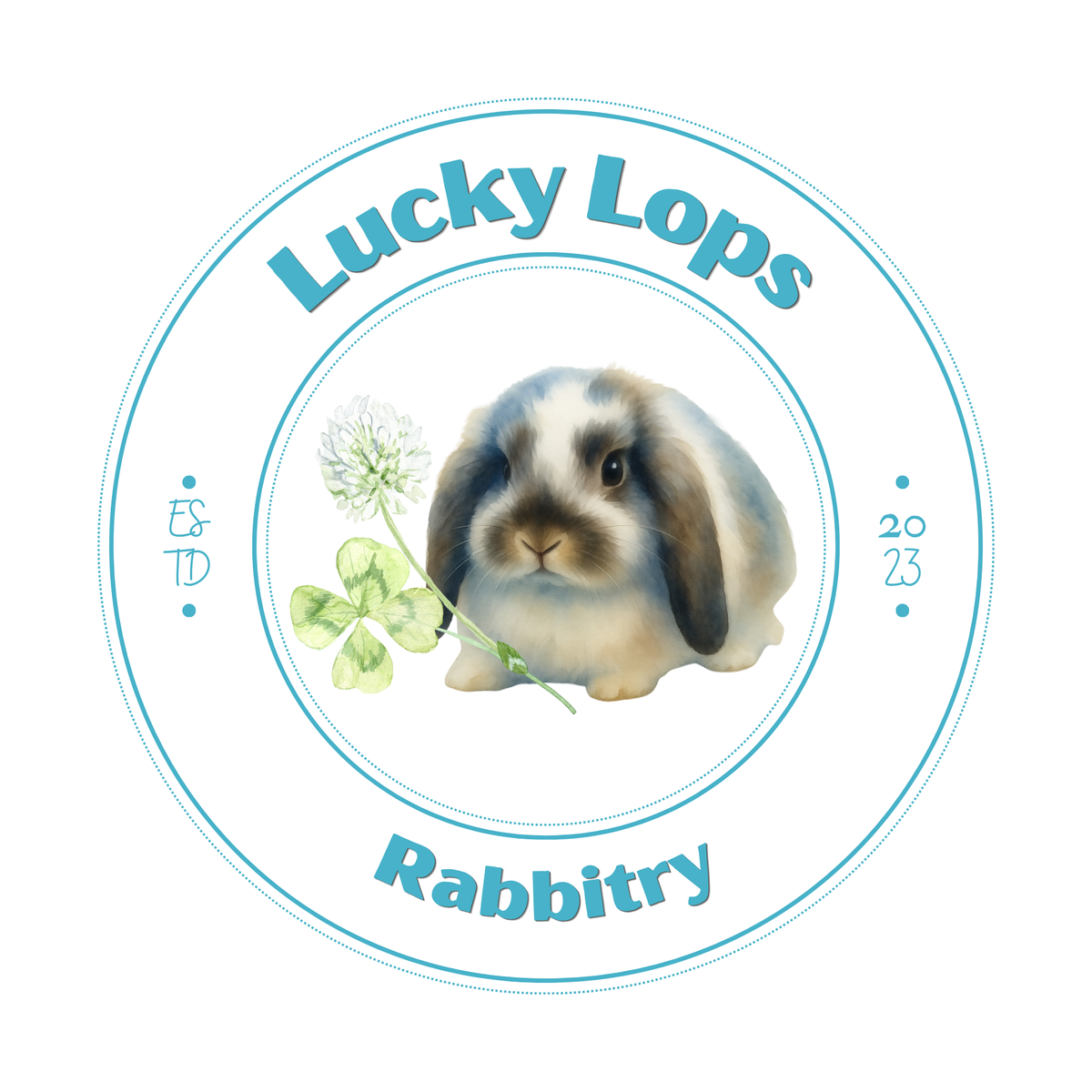 Lucky Lops Rabbitry pedigreed Mini Lop rabbits for sale