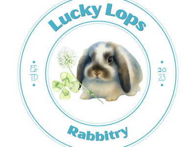 Lucky Lops Rabbitry pedigreed Mini Lop rabbits for sale