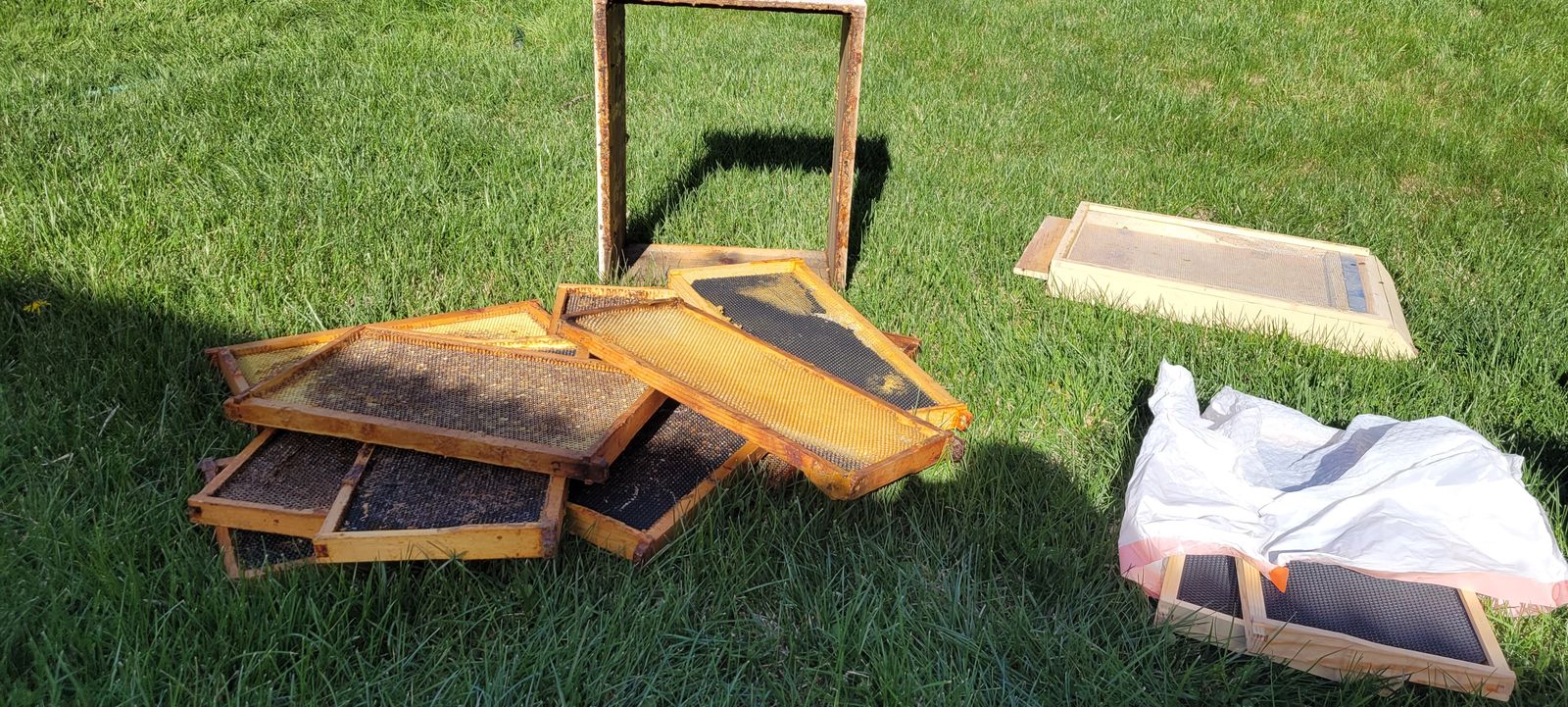 Bee Boxes with frames
