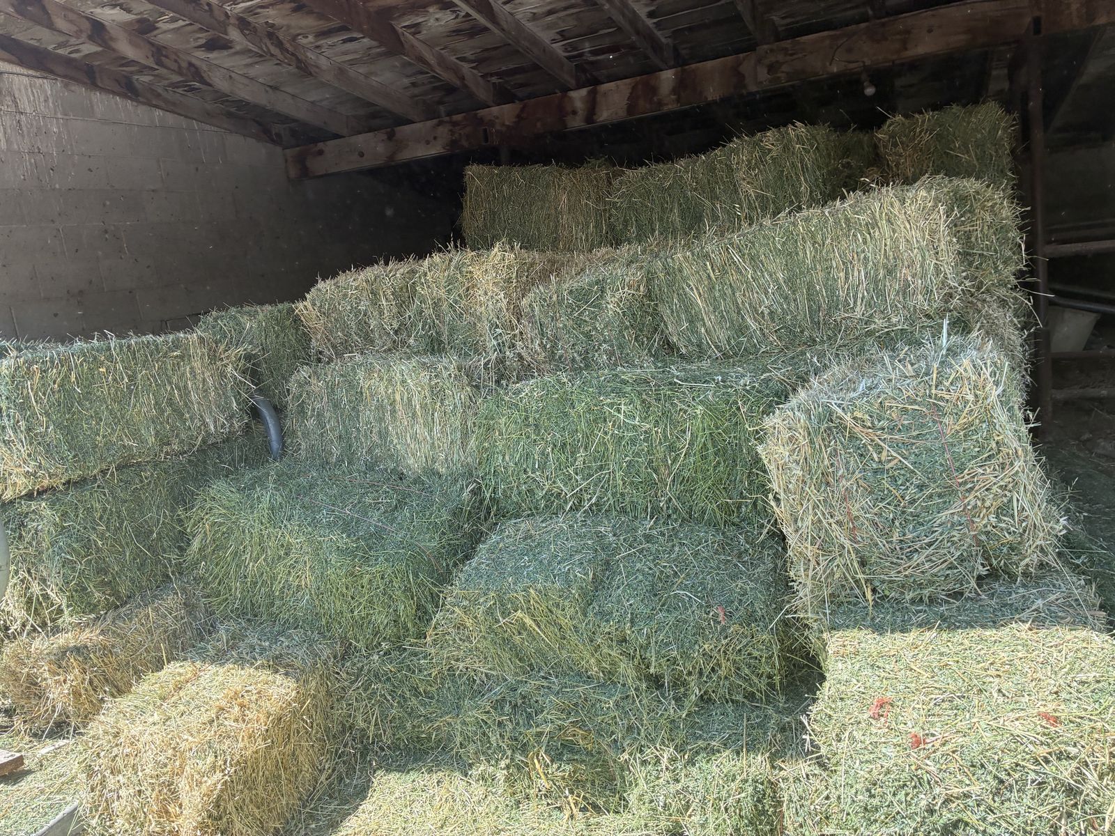 Square Alfalfa Bales/ Wild Oats