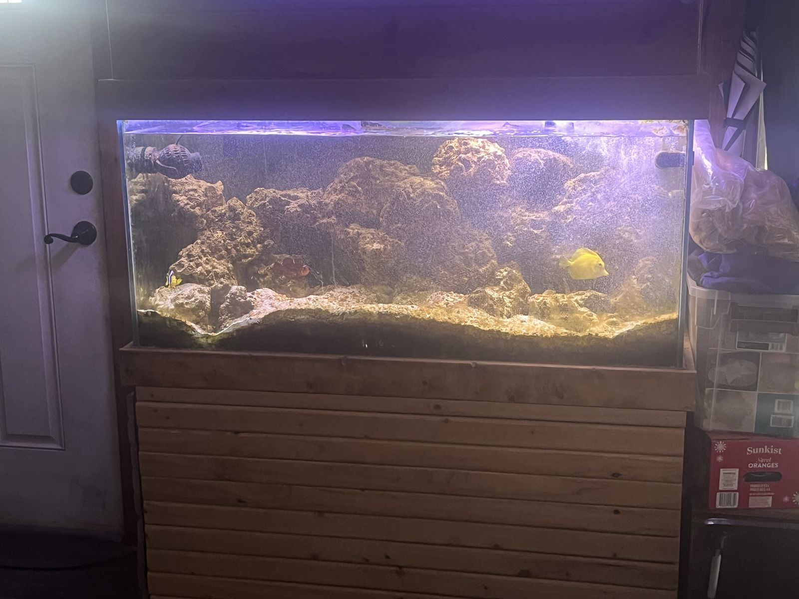 Fish tank and more