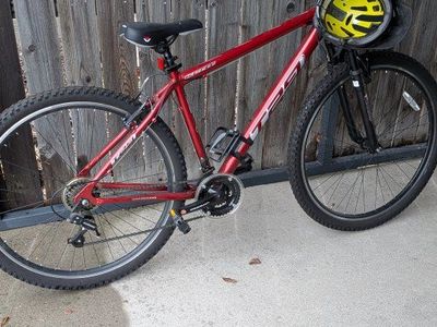 great bike for 100$