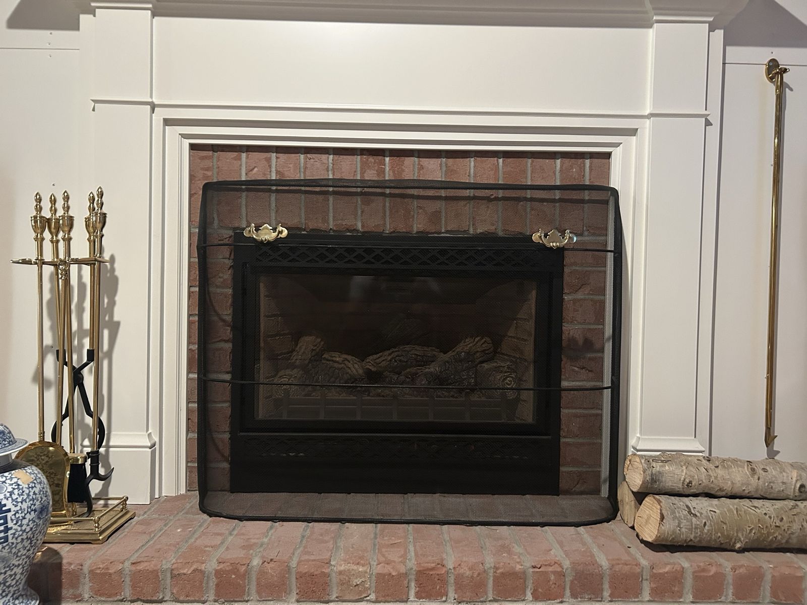 Alpine Gas Fireplace Insert