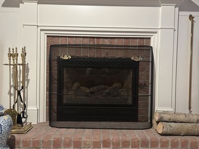 Alpine Gas Fireplace Insert
