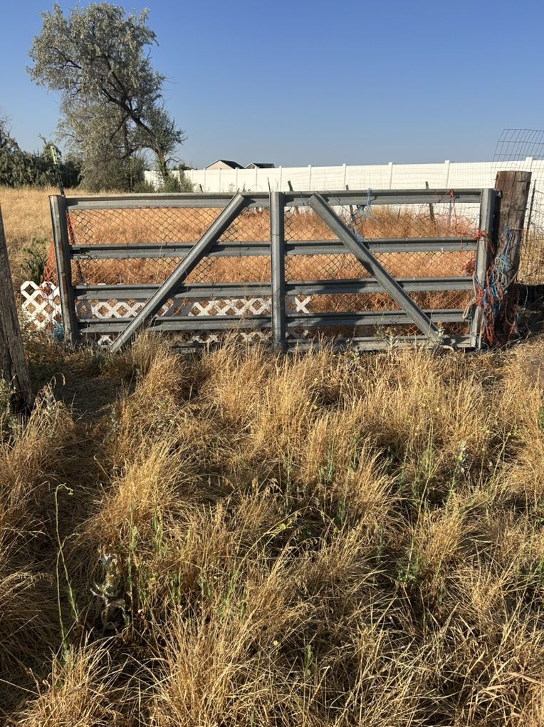 Livestock Gate 12x4
