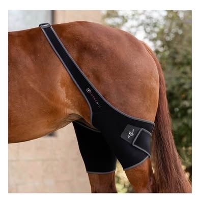 Professional's Choice Theramic Stifle Wrap Pair for Horses - New in Bag