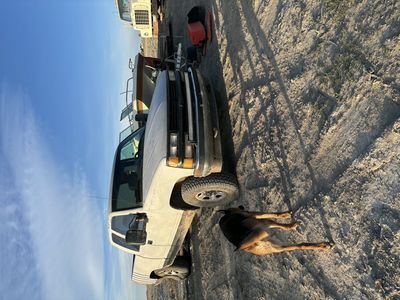 1995 CHEVROLET C/K 1500 K1500 Silverado
