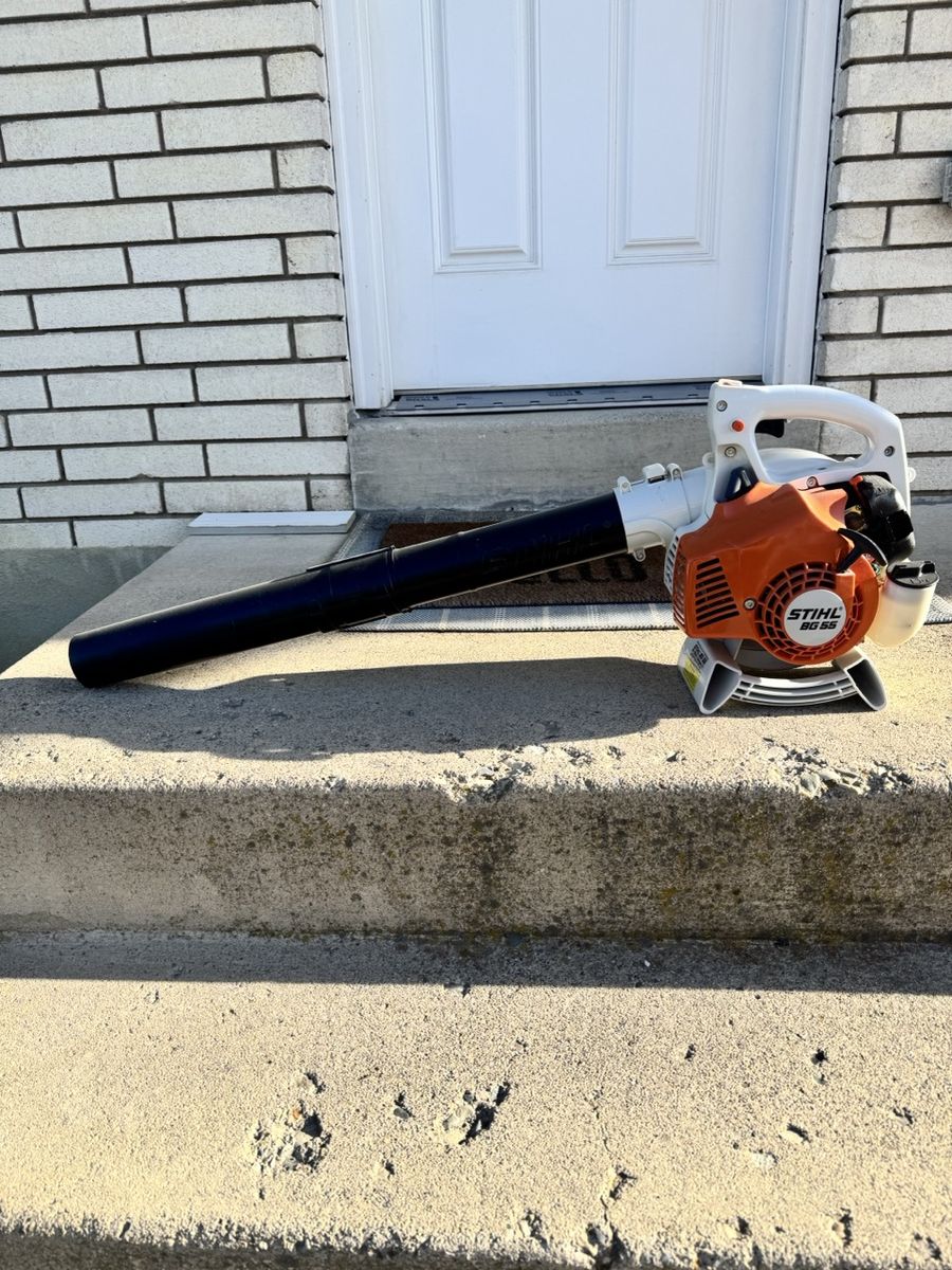 Stihl BG55 Blower