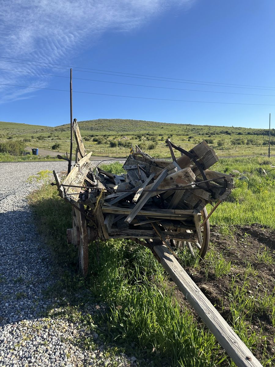 Authentic Antique Horse-Drawn Farm Wagon | Western Ranch Decor | Early 1900s | Wagon Wheels