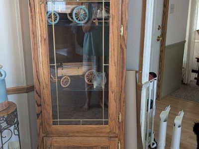 Lighted Oak Curio