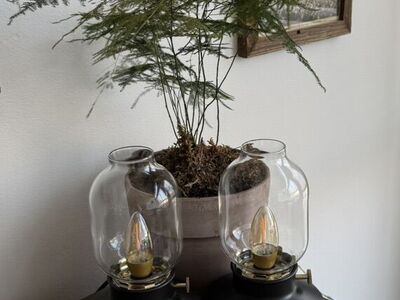 Dimmable Table Lamps