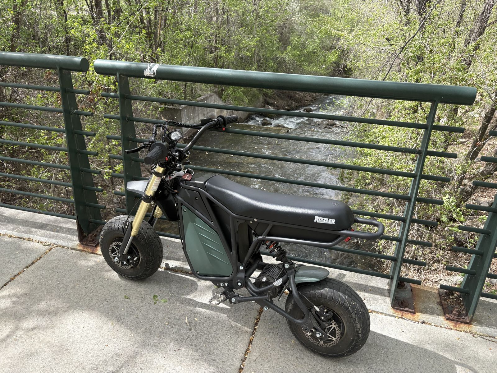 Rizzler E bike