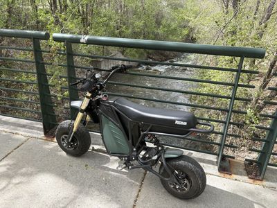 Rizzler E bike