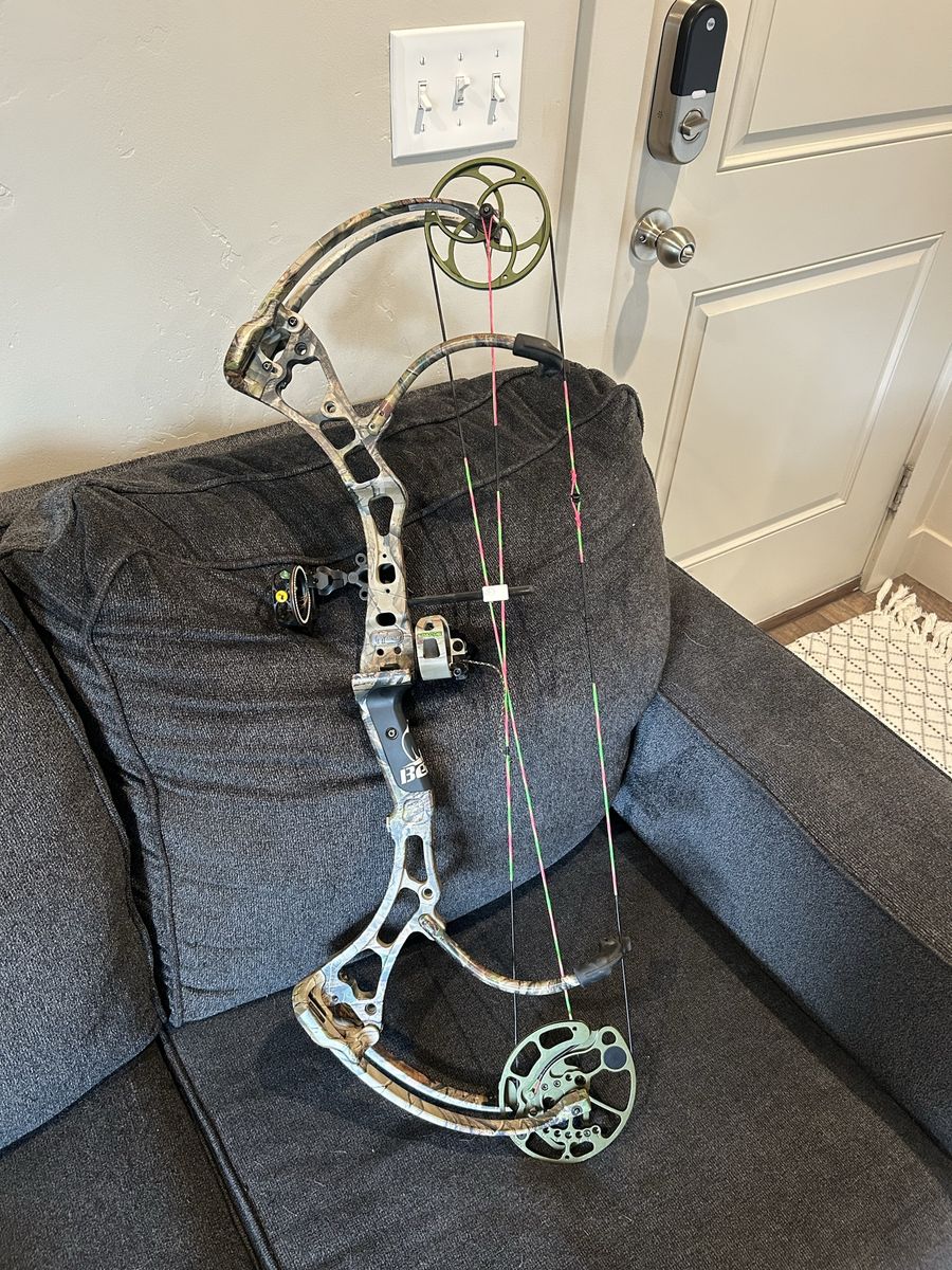 Bear attack flagship bow