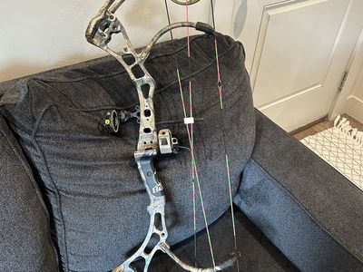 Bear attack flagship bow