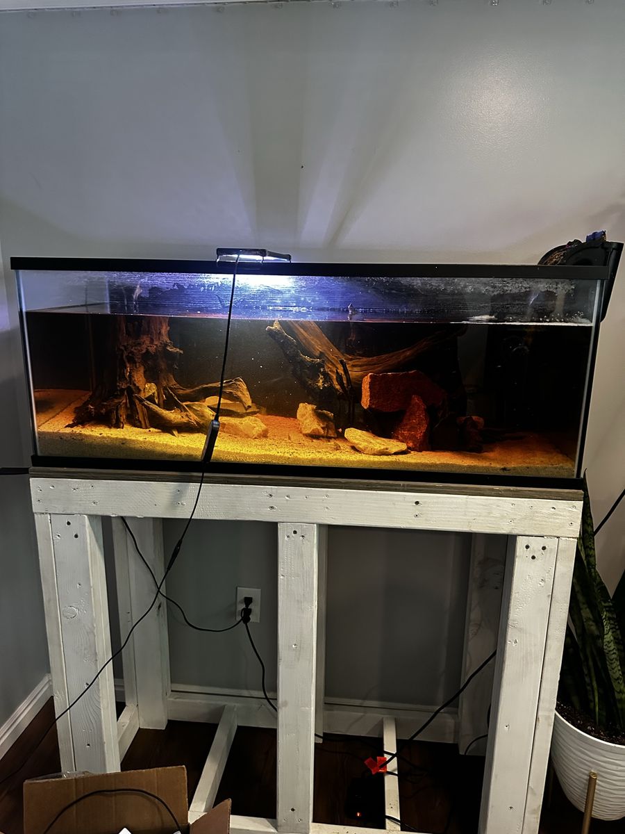 60 gallon breeder aquarium and stand 