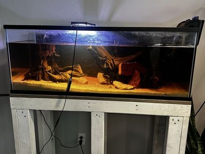 60 gallon breeder aquarium and stand