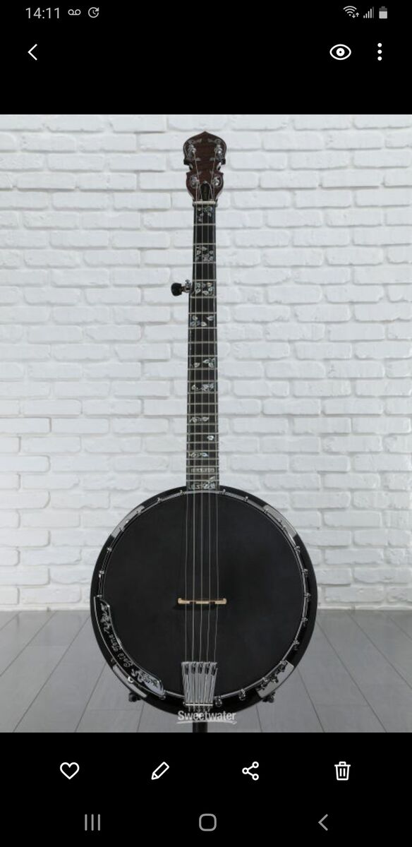 Gold Tone ML-1 "Missing Link" Baritone Banjo & Case like new