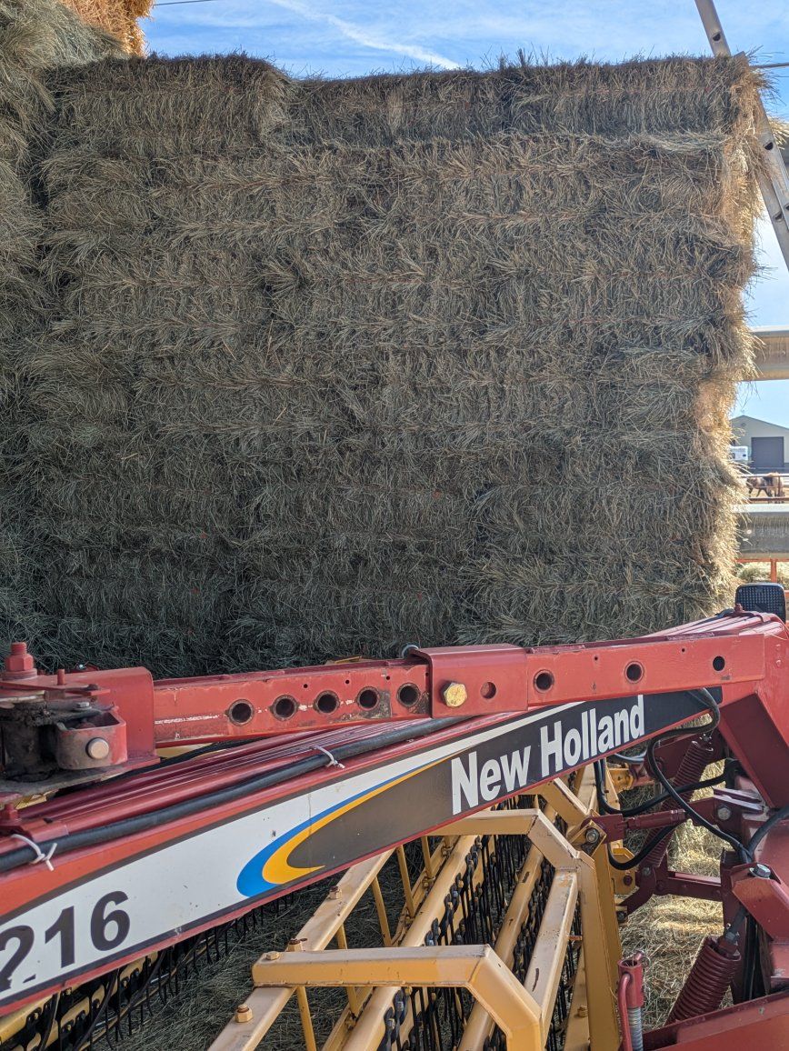 Small bales grass hay