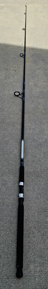 DAIWA Eliminator Fishing Rod