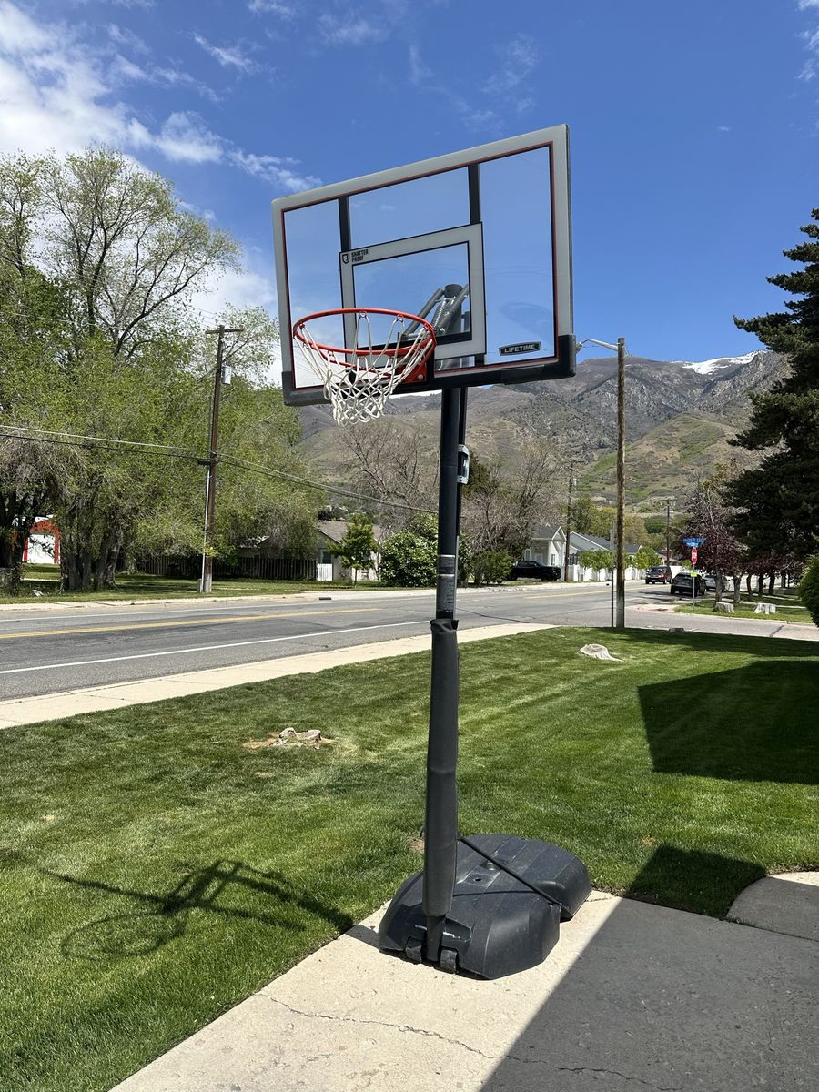 Lifetime Basketball Hoop