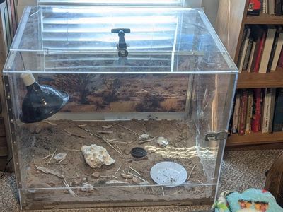 Reptile Enclosure 🦎 Lizard/snake tank