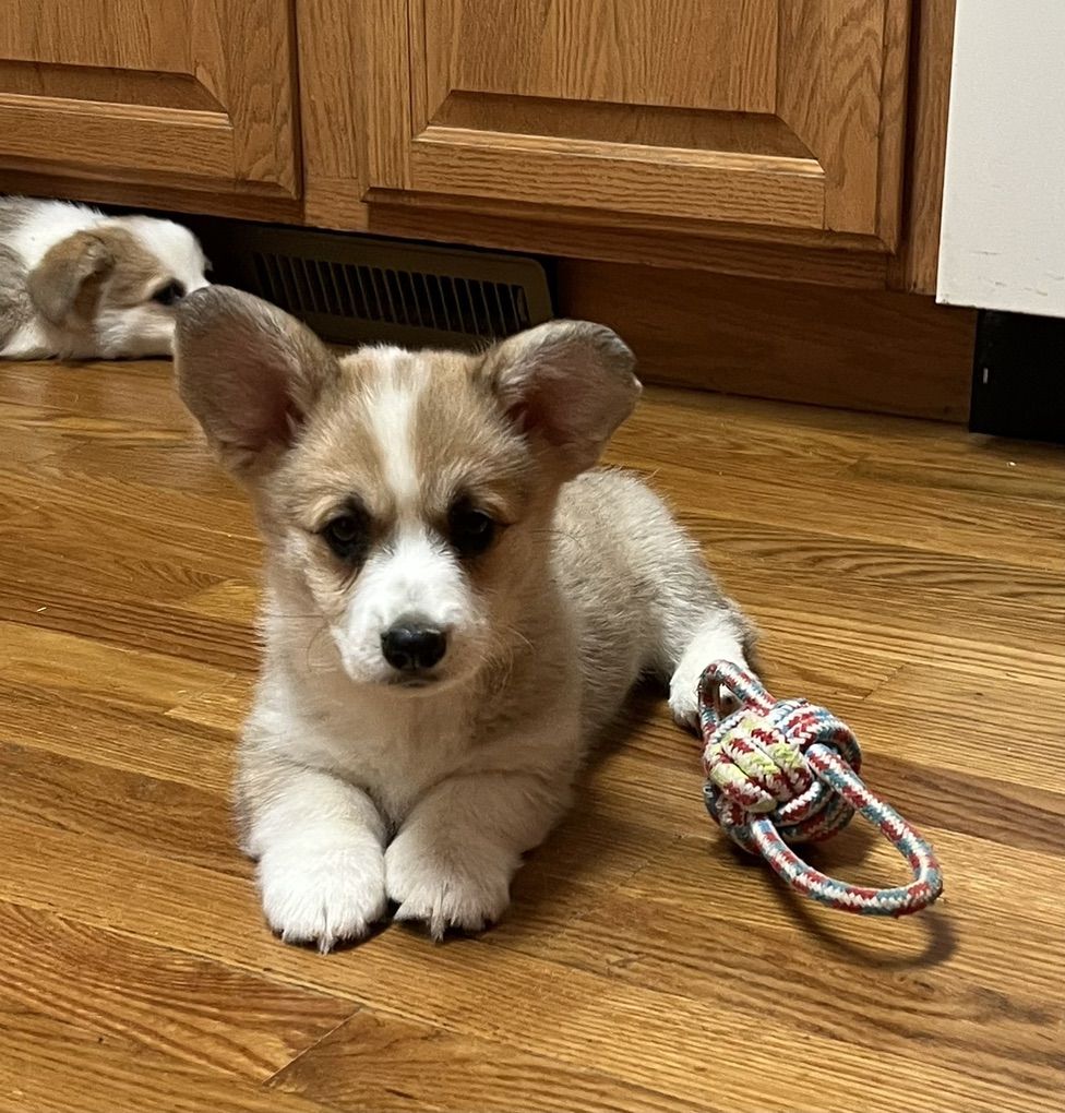Main image 4