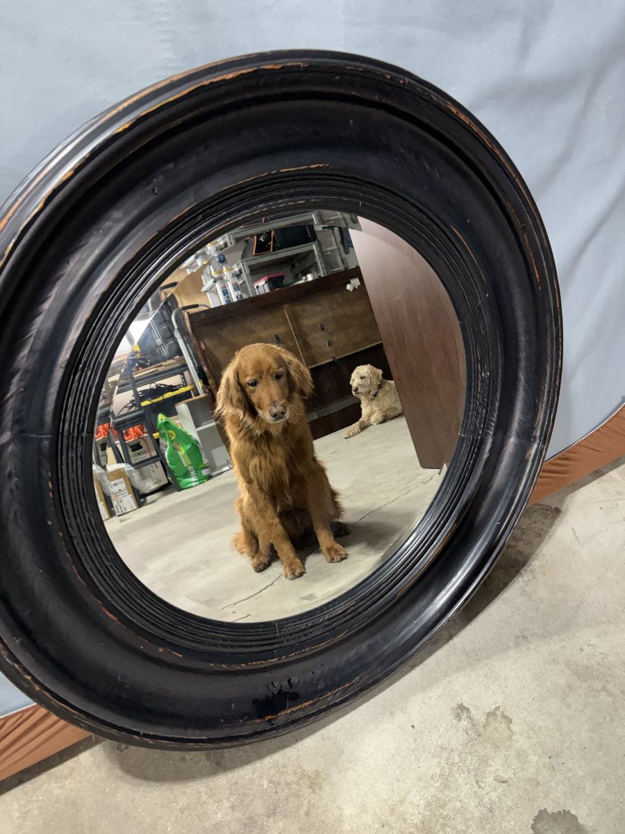 Large Circle Mirror