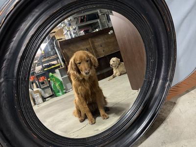 Large Circle Mirror
