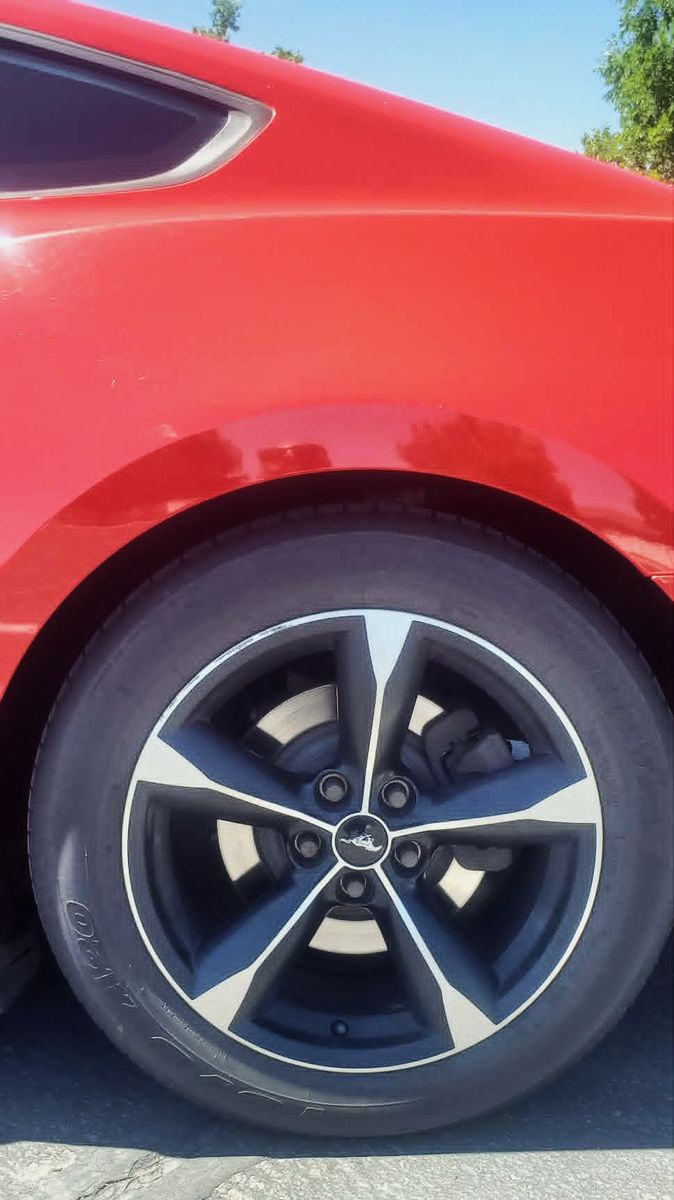 Main image 5
