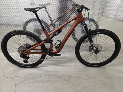 2025 Specialized Stumpjumper S4 Carbon Large