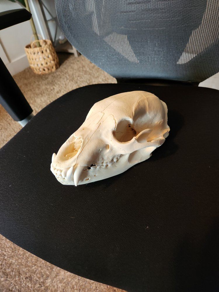 Main image 9