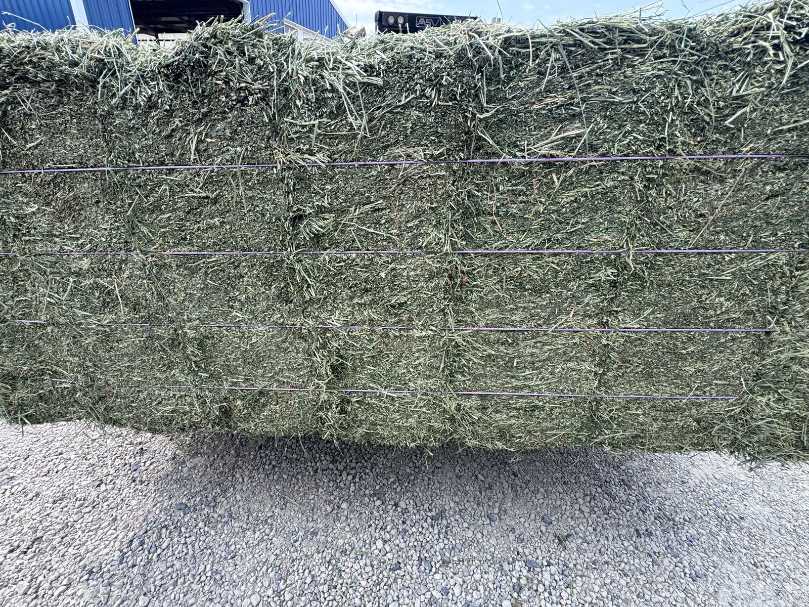Alfalfa Hay Bales - Fresh Green Livestock Feed