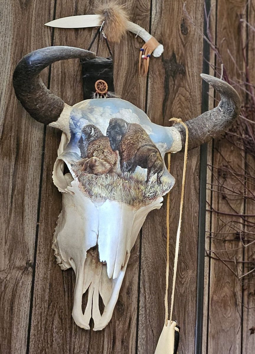 Buffalo skull